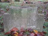 image of grave number 446922
